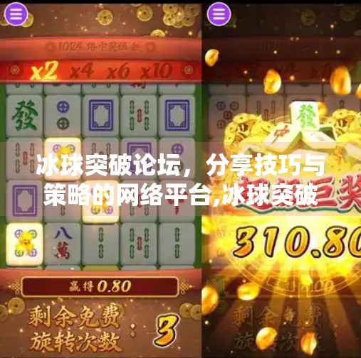 冰球突破论坛，分享技巧与策略的网络平台,冰球突破论坛网站
