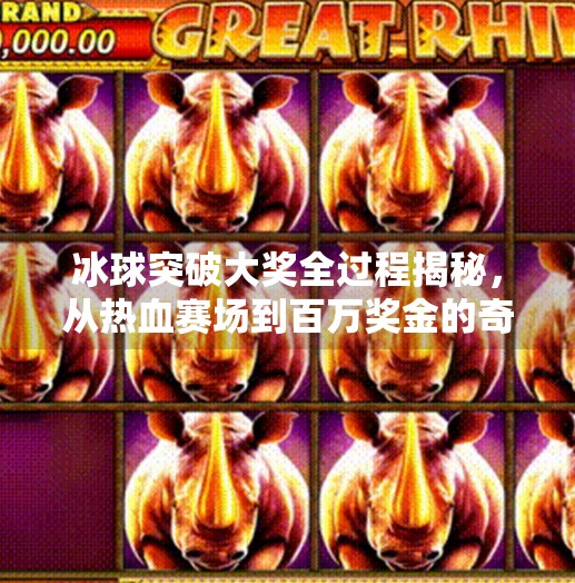冰球突破大奖全过程揭秘，从热血赛场到百万奖金的奇幻旅程,冰球突破大奖全过程