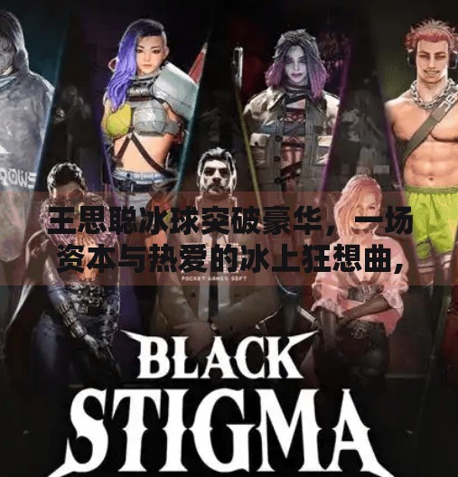 王思聪冰球突破豪华，一场资本与热爱的冰上狂想曲,王思聪冰球突破豪华