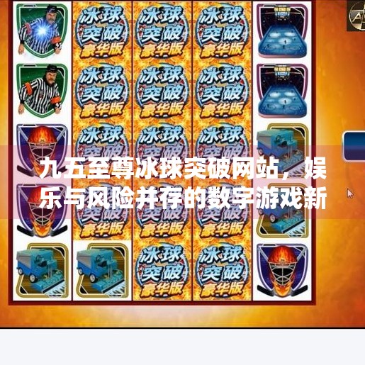 九五至尊冰球突破网站，娱乐与风险并存的数字游戏新战场,九五至尊冰球突破网站