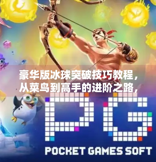 豪华版冰球突破技巧教程，从菜鸟到高手的进阶之路，教你玩转冰场！豪华版冰球突破技巧教程