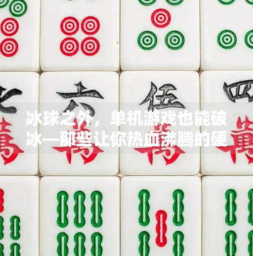 冰球之外，单机游戏也能破冰—那些让你热血沸腾的硬核体育模拟体验,类似突破冰球的单机游戏
