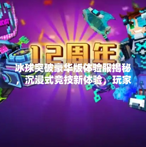 冰球突破豪华版体验服揭秘，沉浸式竞技新体验，玩家直呼上头！冰球突破豪华版体验服