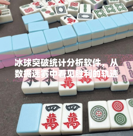 冰球突破统计分析软件，从数据迷雾中看见胜利的轨迹,冰球突破统计分析软件