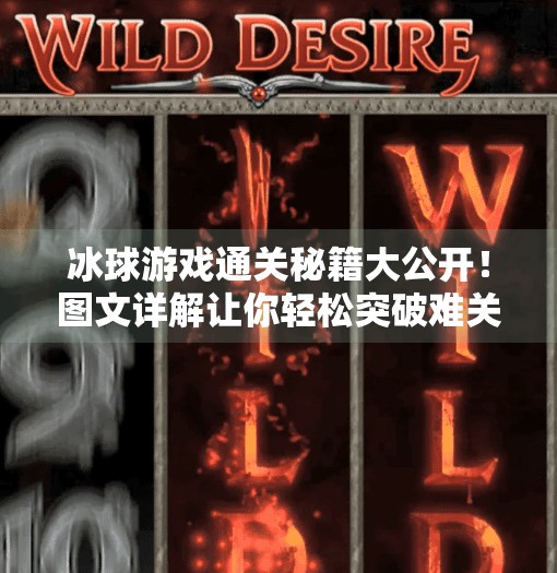 冰球游戏通关秘籍大公开！图文详解让你轻松突破难关！游戏突破冰球攻略图文版