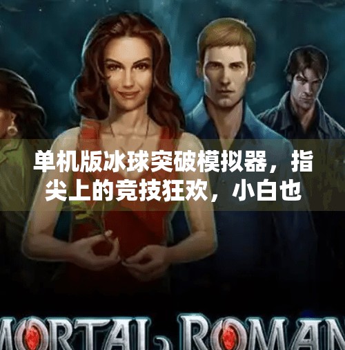 单机版冰球突破模拟器，指尖上的竞技狂欢，小白也能秒变高手！单机版冰球突破模拟器