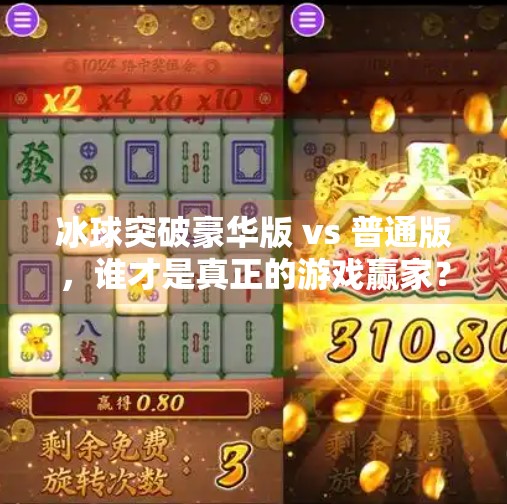 冰球突破豪华版 vs 普通版，谁才是真正的游戏赢家？冰球突破豪华版和普通版