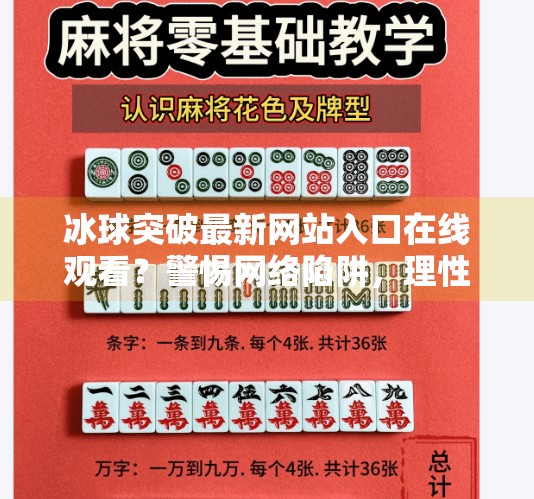 冰球突破最新网站入口在线观看？警惕网络陷阱，理性追梦！冰球突破最新网站入口在线观看
