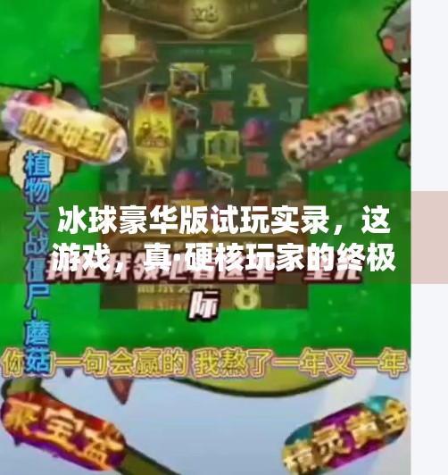 冰球豪华版试玩实录，这游戏，真·硬核玩家的终极狂欢！突破冰球豪华版试玩视频