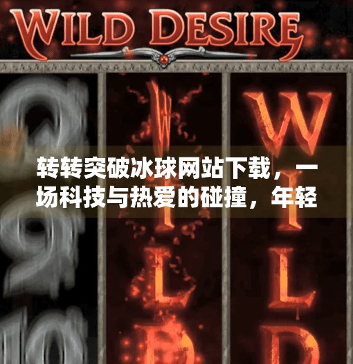 转转突破冰球网站下载，一场科技与热爱的碰撞，年轻人的新宠儿？转转突破冰球网站下载