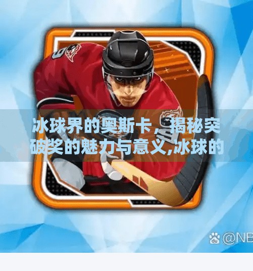 冰球界的奥斯卡，揭秘突破奖的魅力与意义,冰球的突破奖项是什么样的