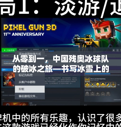 从零到一，中国残奥冰球队的破冰之旅—书写冰雪上的奇迹,中国残奥冰球队零的突破
