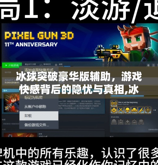 冰球突破豪华版辅助，游戏快感背后的隐忧与真相,冰球突破豪华版辅助